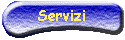 I servizi